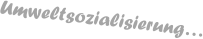 Umweltsozialisierung