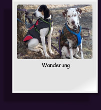 Wanderung