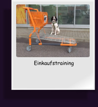 Einkaufstraining