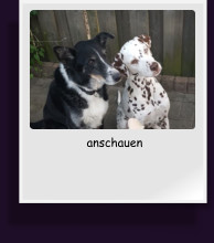 anschauen