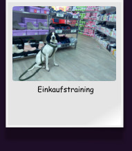 Einkaufstraining