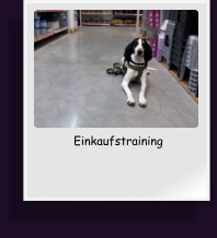 Einkaufstraining