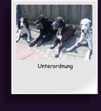Unterordnung