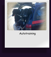 Autotraining