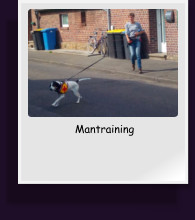 Mantraining